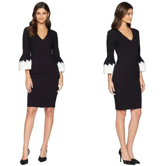 Ted Baker London Rastrel Sheath Dress - Picture 1 of 15